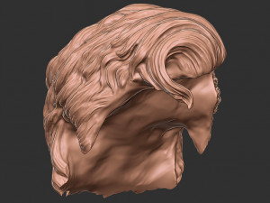 Hair 20 3D 프린트 모델