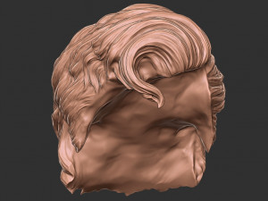 Hair 20 3D 프린트 모델