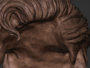 Hair 20 3D 프린트 모델