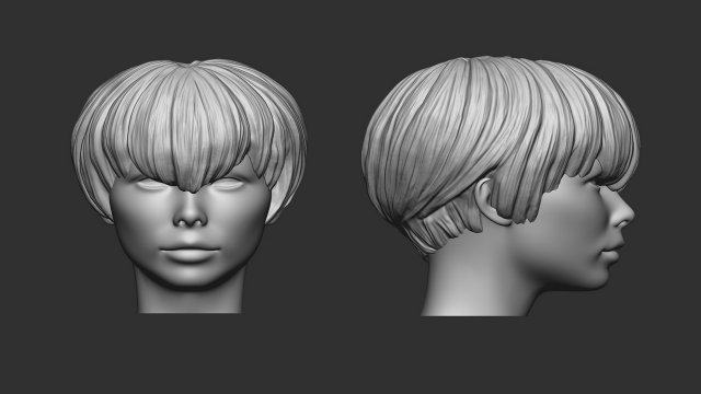 Hair 21 3D printmodel .c4d .max .obj .3ds .fbx .stl .blend