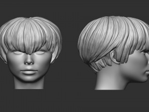 Hair 21 Modèles 3D en vedette