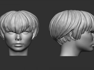 头发 21 3D 打印模型