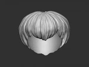 Capelli 21 Modello di stampa 3D