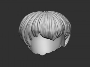 Hair 21 3D printmodel