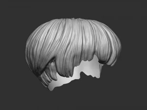 Capelli 21 Modello di stampa 3D