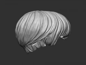 Capelli 21 Modello di stampa 3D