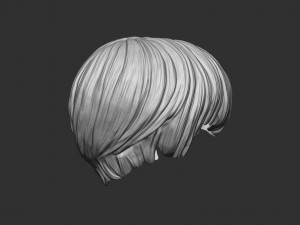 Hair 21 3D printmodel
