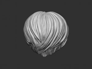 Capelli 21 Modello di stampa 3D
