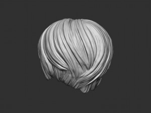 Hair 21 3D printmodel