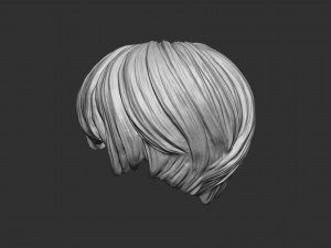Hair 21 3D printmodel