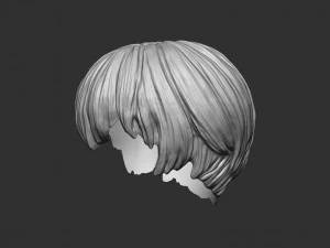 Capelli 21 Modello di stampa 3D