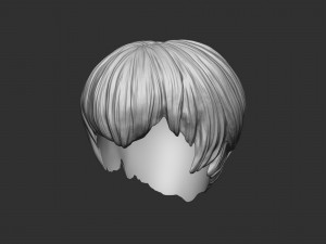 Hair 21 3D printmodel