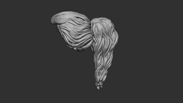 Hair 22 3D Принт Модель .c4d .max .obj .3ds .fbx .stl .blend 