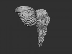 Hair 22 3D Print Model