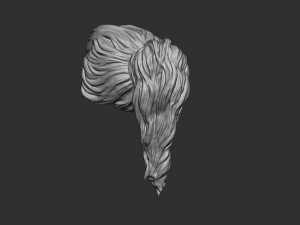 Hair 22 3D Принт Модель