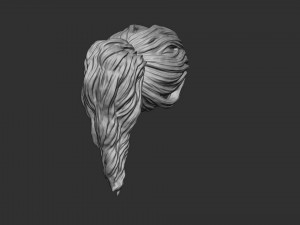 Hair 22 3D Принт Модель