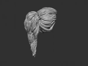 Hair 22 3D Print Model