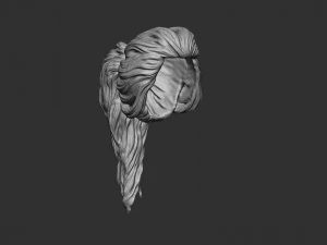 Hair 22 3D Print Model
