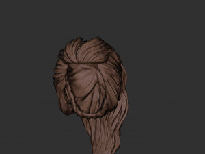 Hair 22 3D Принт Модель