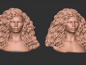 Hair 23 3D Print Model