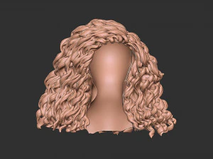 Capelli 23 Modello di stampa 3D