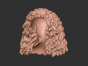 Hair 23 Modelo de impresión 3D