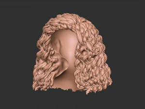 Capelli 23 Modello di stampa 3D