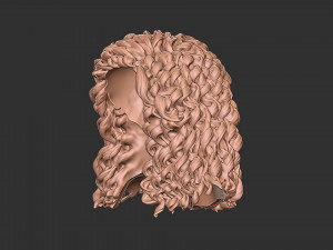 Hair 23 Modelo de impresión 3D