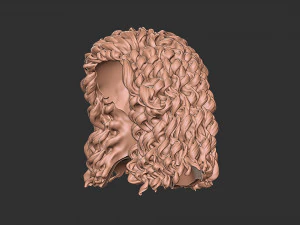 Capelli 23 Modello di stampa 3D
