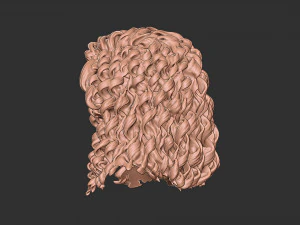 Capelli 23 Modello di stampa 3D