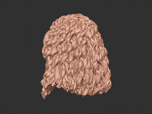 Hair 23 Modelo de impresión 3D