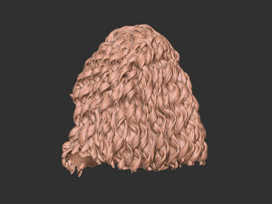 Hair 23 Modelo de impresión 3D