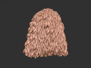 Capelli 23 Modello di stampa 3D