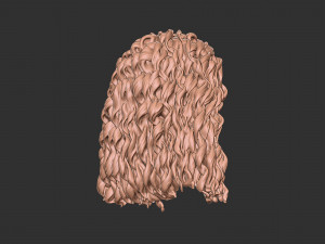 Hair 23 Modelo de impresión 3D