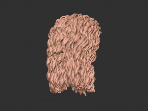 Hair 23 Modelo de impresión 3D