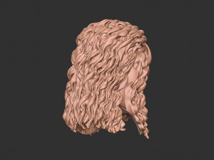 Hair 23 Modelo de impresión 3D