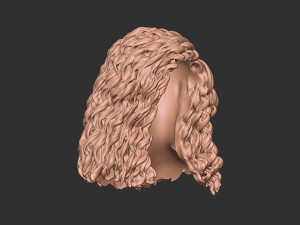 Hair 23 Modelo de impresión 3D