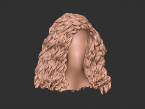 Hair 23 Modelo de impresión 3D