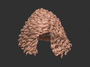 Hair 23 Modelo de impresión 3D