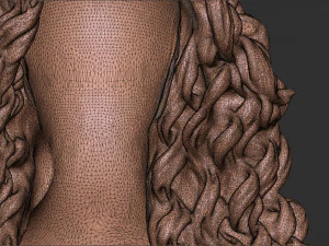 Capelli 23 Modello di stampa 3D