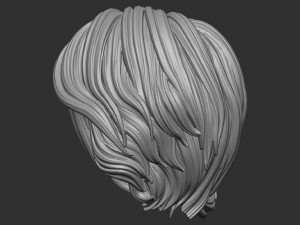 Hair 24 Model Cetak 3D
