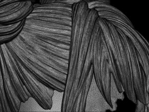 Hair 25 3D Print Model