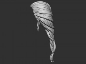 Hair 26 Modèles 3D en vedette