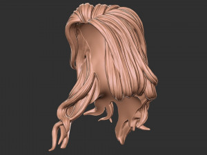 Hair 27 3D-Druckmodell