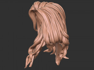 Hair 27 3D-Druckmodell