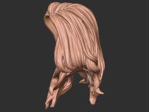 Hair 27 3D-Druckmodell