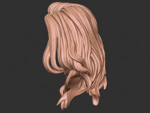 Hair 27 3D-Druckmodell