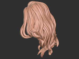 Hair 27 3D-Druckmodell