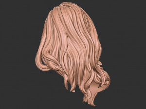 Hair 27 3D-Druckmodell