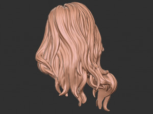 Hair 27 3D-Druckmodell